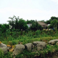 с. Вперед848
